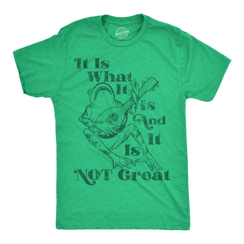 It Is What It Is And It Is Not Great Men's T Shirt